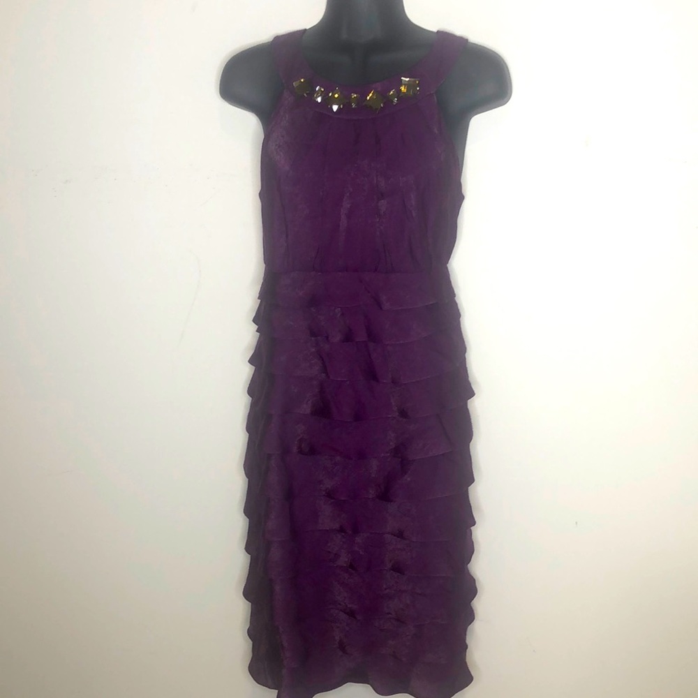 Beautiful Egg Plant Purple Dress